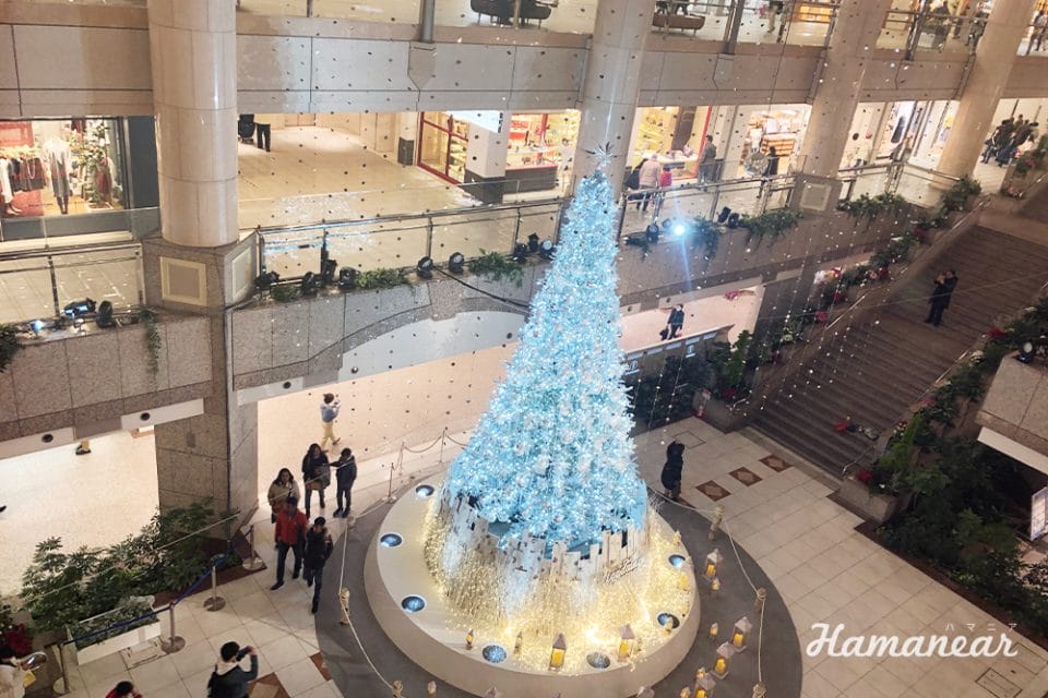19年も巨大ツリーが彩る 横浜ランドマークタワーのクリスマスイルミネーション 横浜 みなとみらい近隣の地域情報メディア Hamanear ハマニア 19年も巨大ツリーが彩る 横浜ランドマークタワーのクリスマスイルミネーション 横浜 みなとみらい近隣の地域情報メディア Hamanear ハマニア