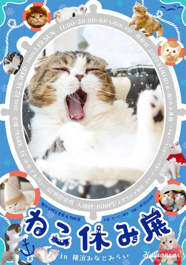 オービィ横浜 ねこ休み展 In 横浜みなとみらい で ねこまみれの年末年始 横浜 みなとみらい近隣の地域情報メディア Hamanear ハマニア オービィ横浜 ねこ休み展 In 横浜みなとみらい で ねこまみれの年末年始 横浜 みなとみらい近隣の地域情報メディア Hamanear ハマニア