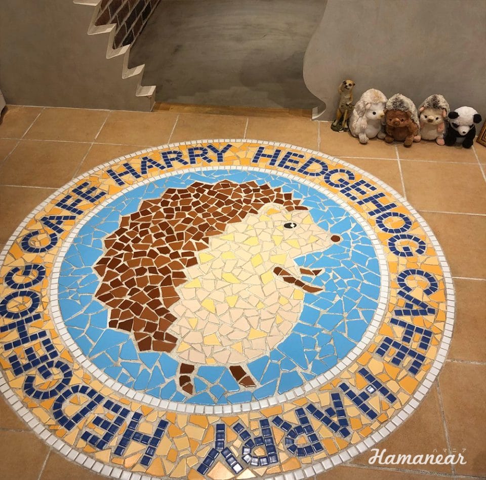 ハリネズミカフェ Harry 横浜中華街店を体験してきた 横浜 みなとみらい近隣の地域情報メディア Hamanear ハマニア ハリネズミカフェ Harry 横浜中華街店を体験してきた 横浜 みなとみらい近隣の地域情報メディア Hamanear ハマニア