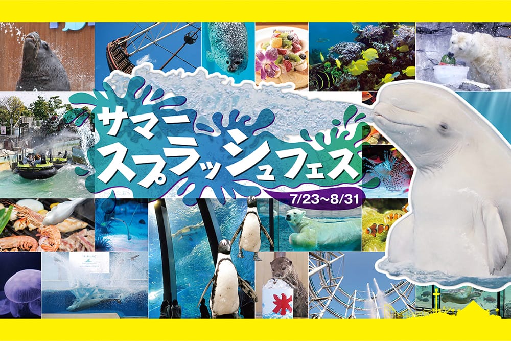 横浜 八景島シーパラダイス サマースプラッシュフェス 7月23日 木 8月31日 月 開催 横浜 みなとみらい近隣の地域情報メディア Hamanear ハマニア